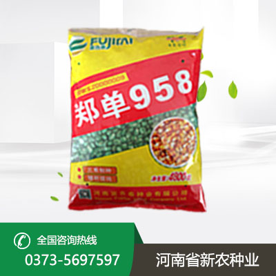 湖北玉米种子高产品种
