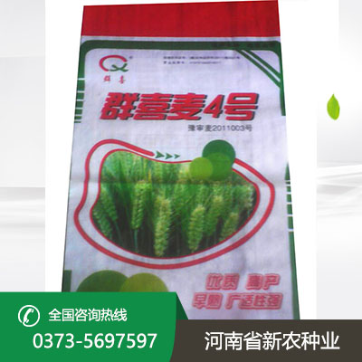 湖北群喜麦4号
