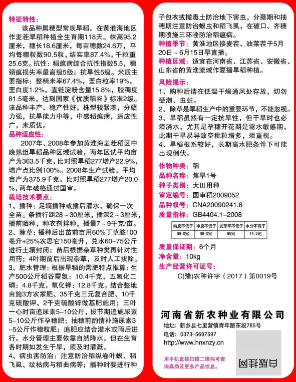 焦旱1号水稻