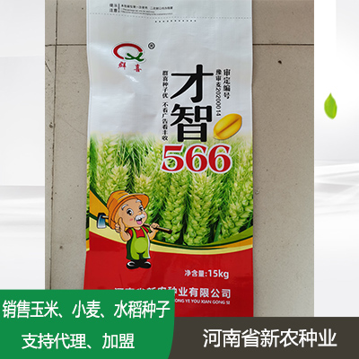 湖北小麦种子加盟