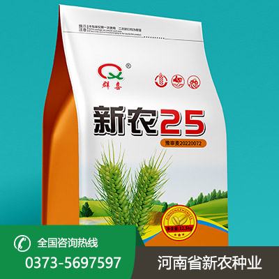 湖北大量批发小麦种子